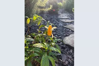 20963 E Colonial Drive, Christmas, FL 32709 - Photo 57