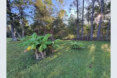 20963 E Colonial Drive, Christmas, FL 32709 - Photo 63