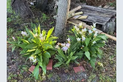 20963 E Colonial Drive, Christmas, FL 32709 - Photo 61