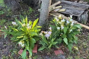 20963 E Colonial Dr, Christmas, FL 32709 - Photo 61