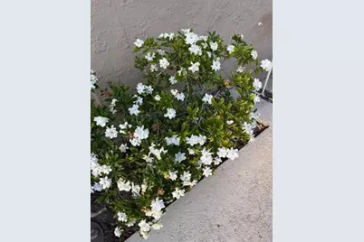 20963 E Colonial Drive, Christmas, FL 32709 - Photo 43