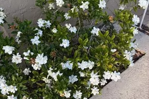 20963 E Colonial Dr, Christmas, FL 32709 - Photo 43