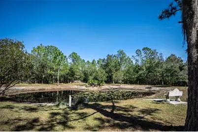 20963 E Colonial Drive, Christmas, FL 32709 - Photo 31