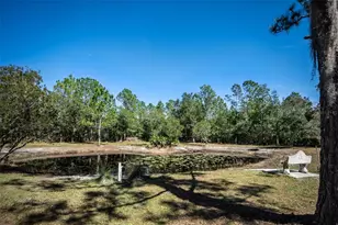 20963 E Colonial Dr, Christmas, FL 32709 - Photo 31