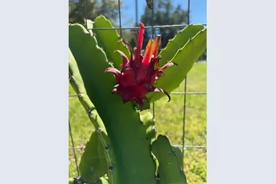 20963 E Colonial Drive, Christmas, FL 32709 - Photo 65