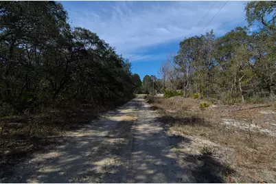 206 Tall Pine Trail, Satsuma, FL 32189 - Photo 5