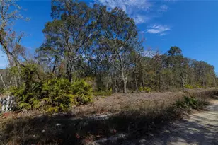 206 Tall Pine Trail, Satsuma, FL 32189 - Photo 1