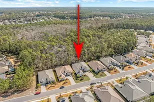 272 Stirling Bridge Dr, Ormond Beach, FL 32174 - Photo 61