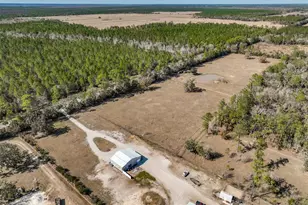 9797 Co Rd 305, Bunnell, FL 32110 - Photo 23