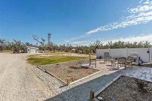 9797 Co Rd 305, Bunnell, FL 32110 - Photo 39
