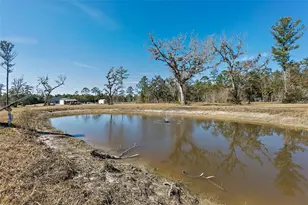 9797 Co Rd 305, Bunnell, FL 32110 - Photo 55