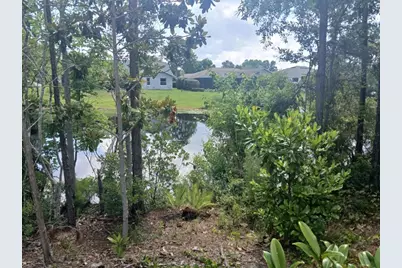 52 Bud Hollow Drive, Palm Coast, FL 32137 - Photo 41