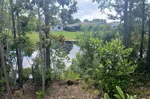 52 Bud Hollow Dr, Palm Coast, FL 32137 - Photo 41