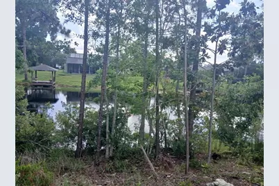 52 Bud Hollow Drive, Palm Coast, FL 32137 - Photo 31