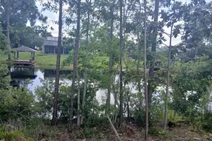 52 Bud Hollow Dr, Palm Coast, FL 32137 - Photo 31