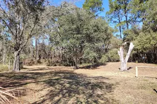 1916 Laurel Ave, Bunnell, FL 32110 - Photo 31