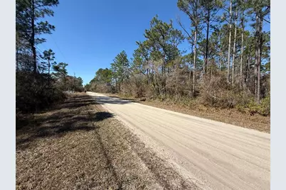 4664 Clove Avenue, Bunnell, FL 32110 - Photo 3