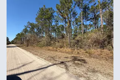 4664 Clove Avenue, Bunnell, FL 32110 - Photo 5