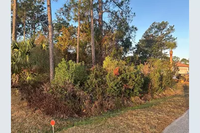 4 White Hall Drive, Palm Coast, FL 32137 - Photo 1