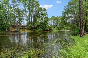 62 Whittington Dr, Palm Coast, FL 32164 - Photo 51