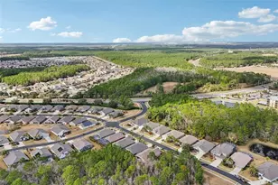 1433 Areca Palm Dr, Port Orange, FL 32128 - Photo 57