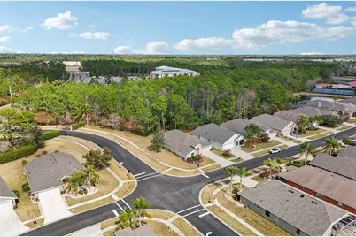 1433 Areca Palm Drive, Port Orange, FL 32128 - Photo 53