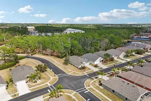 1433 Areca Palm Dr, Port Orange, FL 32128 - Photo 53