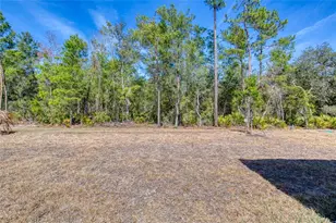 672 Hang Loose Wy, Daytona Beach, FL 32124 - Photo 49