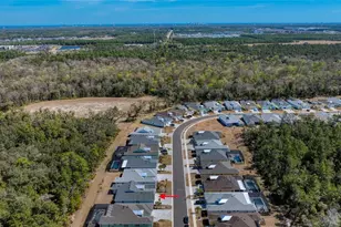 672 Hang Loose Wy, Daytona Beach, FL 32124 - Photo 59