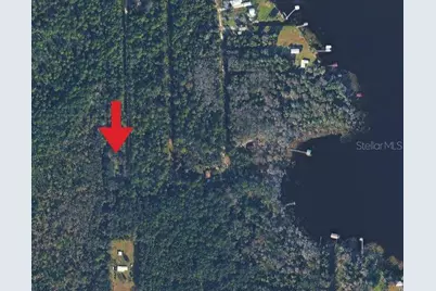 131 Orange Drive, Florahome, FL 32140 - Photo 1