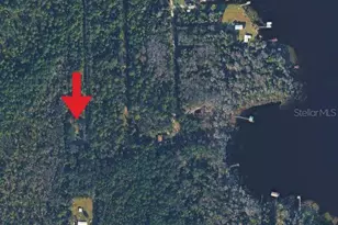 131 Orange Dr, Florahome, FL 32140 - Photo 1