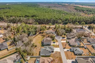 19 Long Pl, Palm Coast, FL 32137 - Photo 65