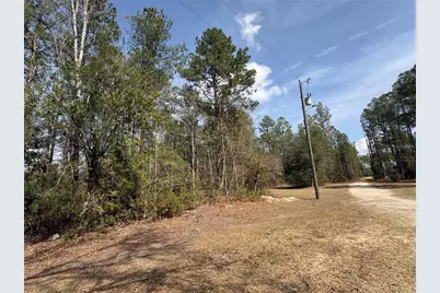 4385 Bondarenko Road, Keystone Heights, FL 32656 - Photo 7