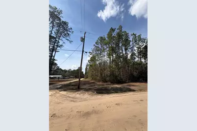 4385 Bondarenko Road, Keystone Heights, FL 32656 - Photo 3