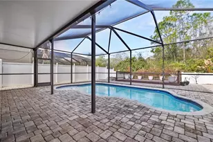 12507 Bay Branch Ct, Tampa, FL 33635 - Photo 3