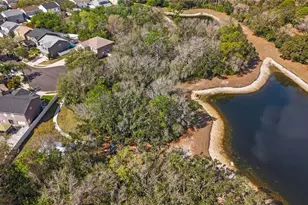 12507 Bay Branch Ct, Tampa, FL 33635 - Photo 59