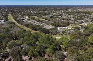 24 Pinehurst Pl, Palm Coast, FL 32137 - Photo 47