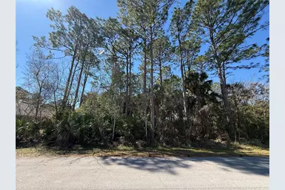 28 Phoenix Lane, Palm Coast, FL 32164 - Photo 1
