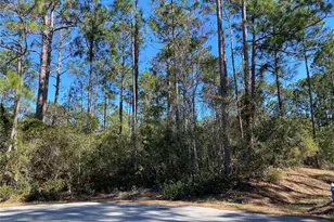 17 Zorlou Ct, Palm Coast, FL 32164 - Photo 1