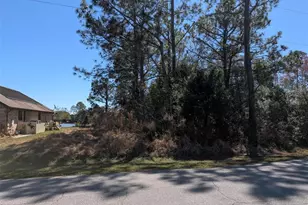 26 Kashmir Trail, Palm Coast, FL 32164 - Photo 1