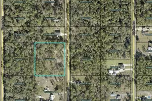 10055 Flikkema Ave, Hastings, FL 32145 - Photo 1