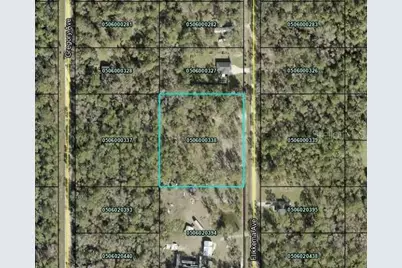 10055 Flikkema Avenue, Hastings, FL 32145 - Photo 3