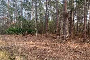 4515 Mahogany Blvd, Bunnell, FL 32110 - Photo 1