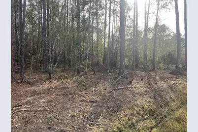 4515 Mahogany Boulevard, Bunnell, FL 32110 - Photo 3