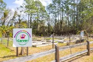 507 S Anderson St, Bunnell, FL 32110 - Photo 19