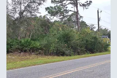 203 Crescent Lake Shore Drive, Crescent City, FL 32112 - Photo 7