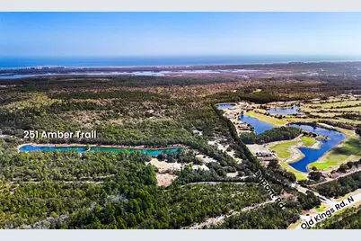 251 Amber Trail, Palm Coast, FL 32137 - Photo 1