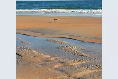 1 Ocean Palm Villa N, Flagler Beach, FL 32136 - Photo 39