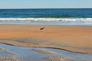 1 Ocean Palm Villa N, Flagler Beach, FL 32136 - Photo 39
