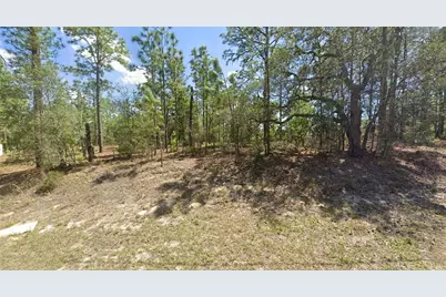 2551 W Sheila Drive, Citrus Springs, FL 34433 - Photo 1